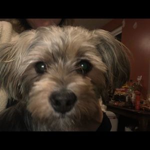 Meet your Posher, Aimee